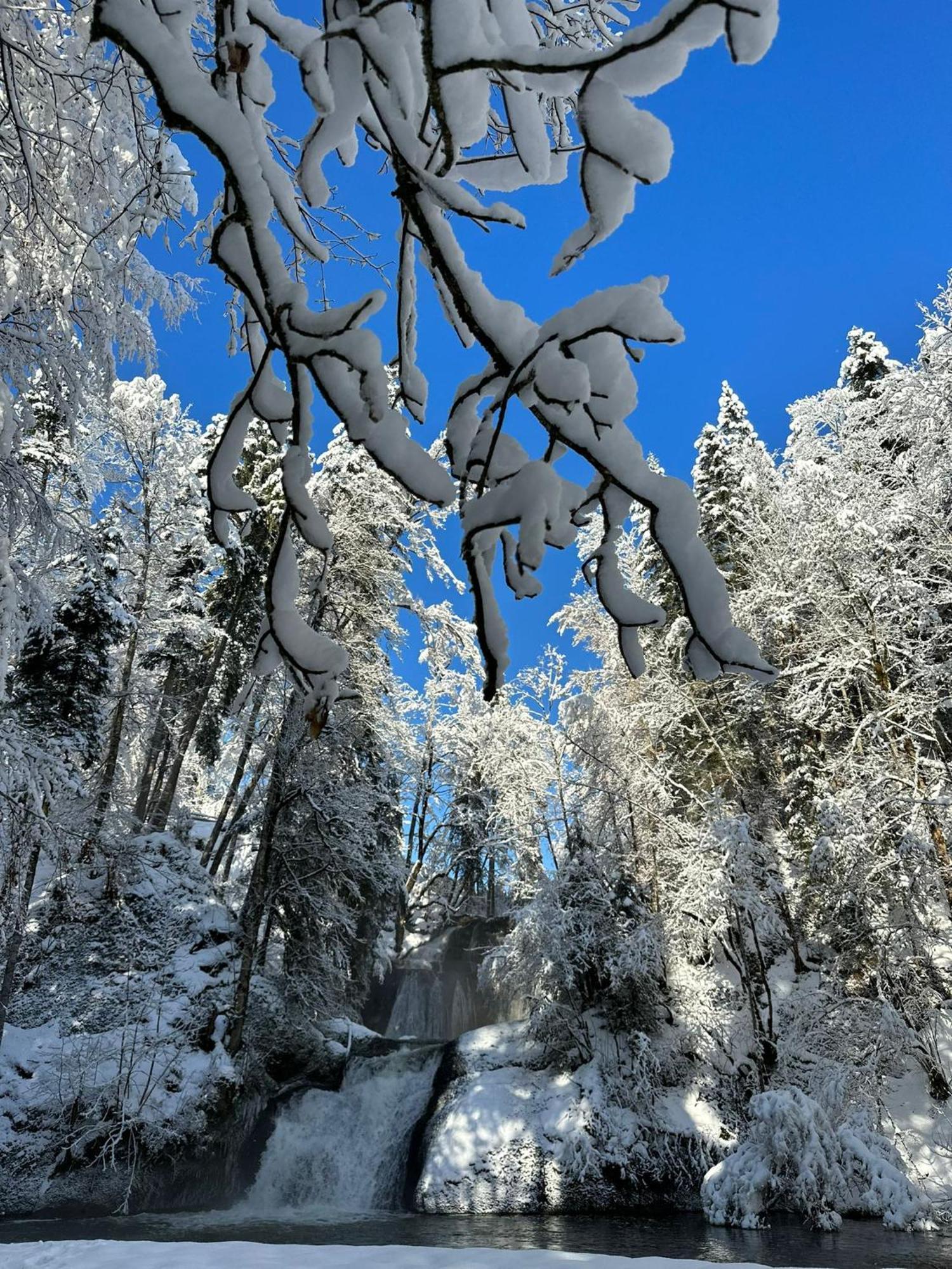 Landhaus Eibelesee 上施陶芬 外观 照片